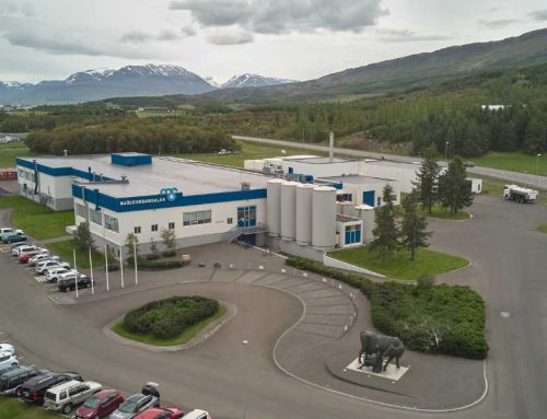 Iceland’s largest dairy company chooses Raslysation™ – to optimize the quality of yellow cheese