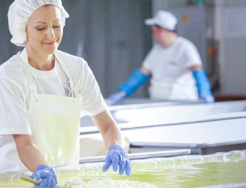Controlling listeria in brine with Raslysation
