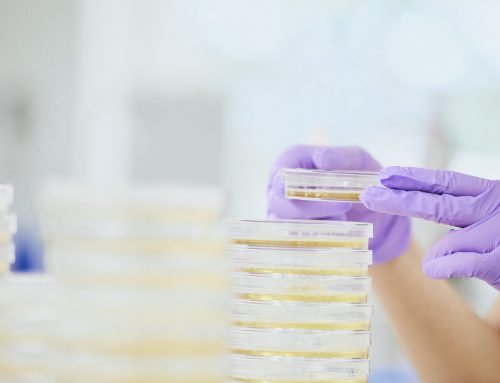 Raslysation mentioned in new dairy study