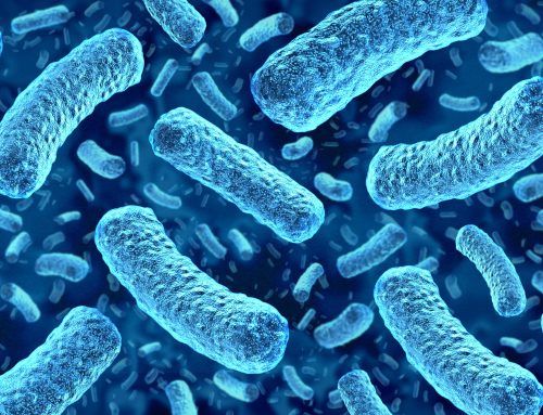 Raslysation™ protects consumers from life-threatening Listeria