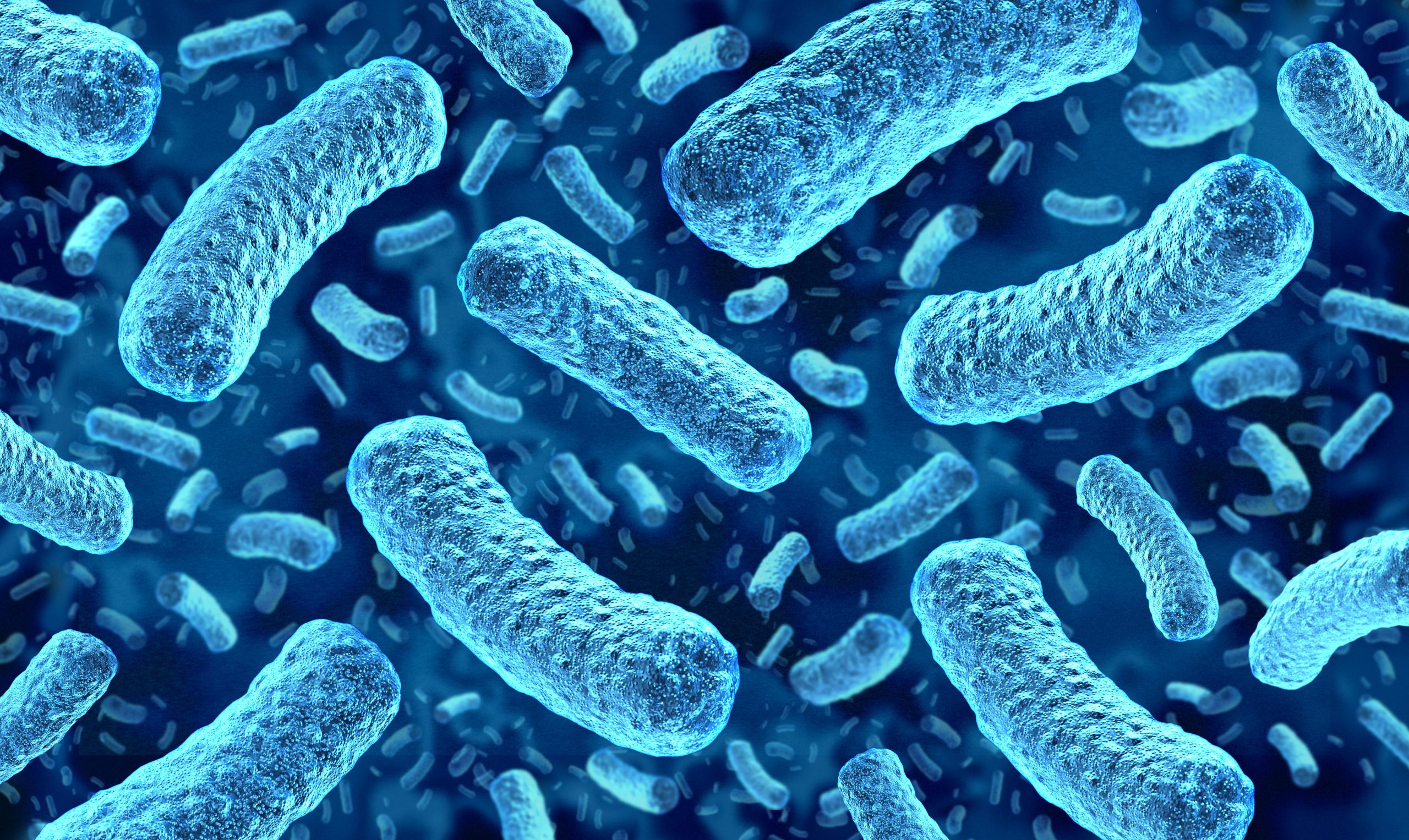 Raslysation eliminates Listeria